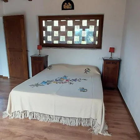 Borgo Pizzicare *