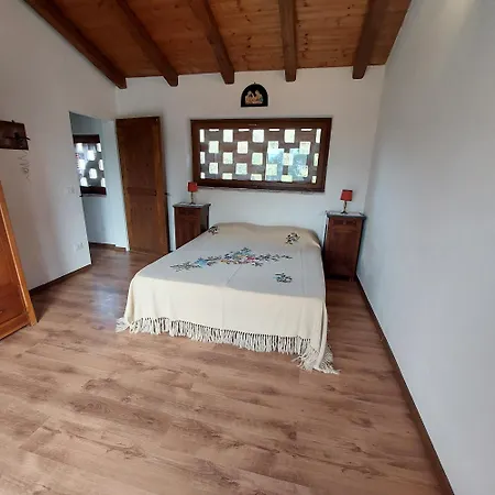Borgo Pizzicare *